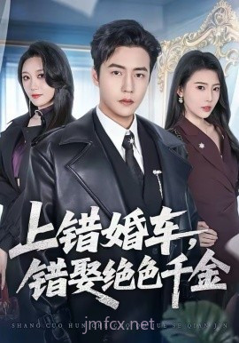 上错婚车,错娶绝色千金